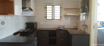 Kitchen Image of 1300 Sq.ft 2 BHK Apartment / Flat for rent in Ankuraa Lotus, Whitefield Bengaluru for Rs. 54000
