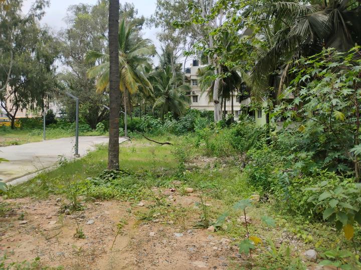 Classic Orchids Layout, Kalena Agrahara Main Image 1