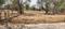 Palaspe Phata Plot View 1
