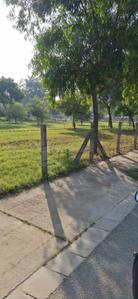 Image of 394 Sq.ft Residential Plot / Land for sale in Vatika India Next, Sector 82, Gurgaon for Rs. 72500000