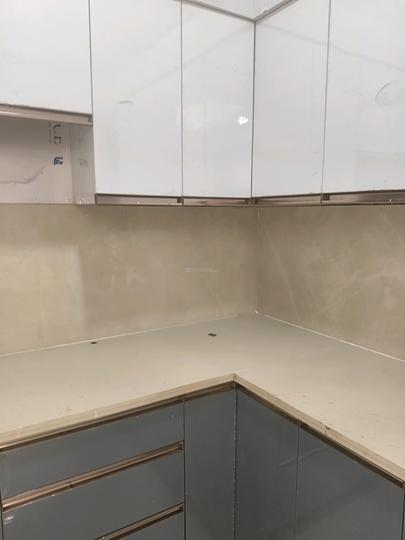 SS The Leaf Main Image 1