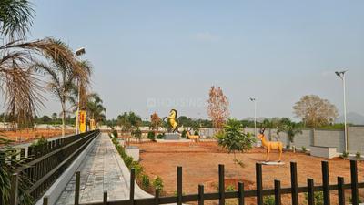 Annur Plot View 1