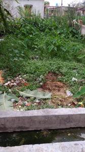 Pratiraksha Nagar Plot View 1