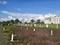 Wagholi Plot View 2
