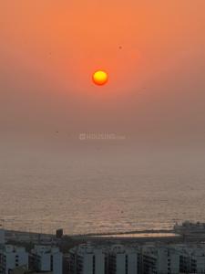 Image of 1250 Sq.ft 2 BHK Apartment / Flat for rent in Monte South, Byculla, Mumbai for Rs. 130000