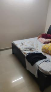 Bedroom Image of 1106 Sq.ft 2 BHK Apartment / Flat for rent in Supertech Eco Village 2, Noida Extension Greater Noida for Rs. 23500
