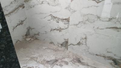 Bathroom Image of 691 Sq.ft 1 BHK Apartment / Flat for sale in Dhankawadi Pune for Rs. 6700000