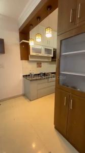 Kitchen Image of 1500 Sq.ft 3 BHK Duplex for rent in Sankhedi Bhopal for Rs. 23000