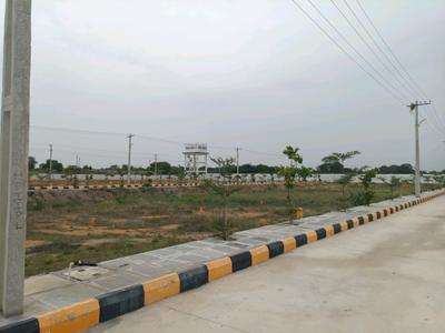 IDA Plot View 2