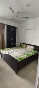 Bedroom Image of 490 Sq.ft 1 BHK Apartment / Flat for rent in RG Residency, Sector 120 Noida for Rs. 25000