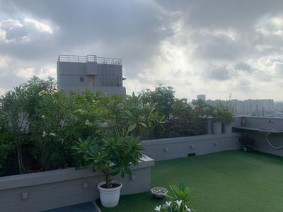 Image of 1972 Sq.ft 3 BHK Penthouse for sale in Goyal Orchid Whitefield, Makarba, Ahmedabad for Rs. 21500000