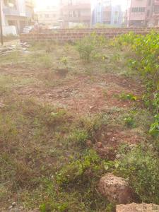 Jagamara Plot View 2