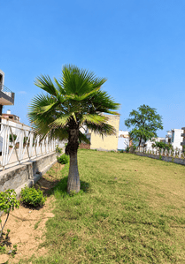 Image of 900 Sq.ft Residential Plot / Land for sale in Asalat Nagar, Ghaziabad for Rs. 3350000