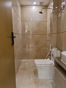 Common Bathroom Image of 900 Sq.ft 3 BHK Apartment / Flat for sale in Saarthi Affordable Homes, Hastsal New Delhi for Rs. 5800000