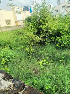 Chanakyapuri Plot View 2