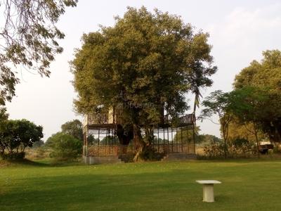 Image of 517 Sq.ft Residential Plot / Land for sale in Bavla, Ahmedabad for Rs. 4446200