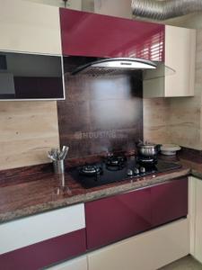 Kitchen Image of 5500 Sq.ft 6 BHK Apartment / Flat for sale in Vipul World Plots, Sector 48 Gurgaon for Rs. 60000000