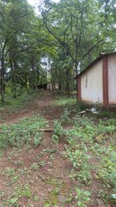 Image of 696960 Sq.ft Residential Plot / Land for sale in Murbad, Thane for Rs. 352000000