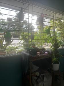 Balcony Image of 2185 Sq.ft 3 BHK Apartment / Flat for sale in Fort Sunny Fort, New Town Kolkata for Rs. 19200000
