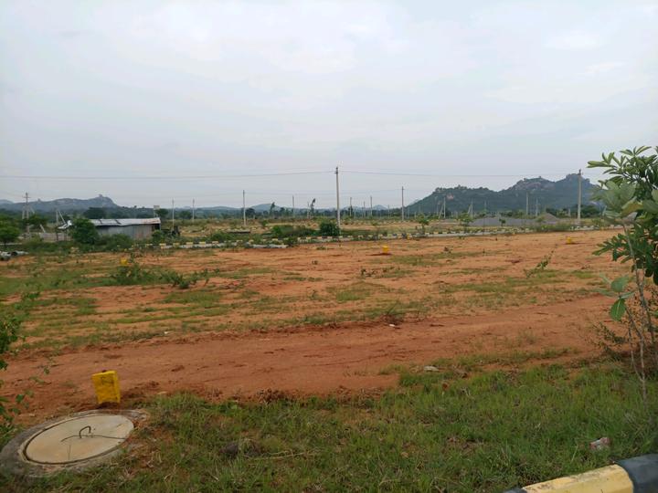 Amangal Main Image 1