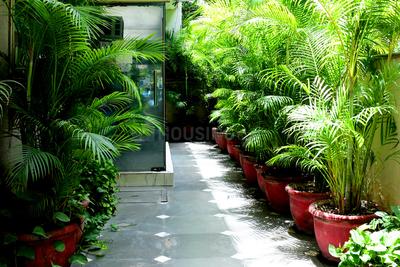 Image of HelloWorld Alexa in Sector 28, Gurgaon