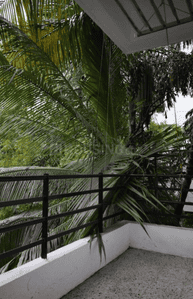 Image of 3000 Sq.ft 3 BHK Apartment / Flat for sale in Vascon Windermere, Koregaon Park, Pune for Rs. 72500000