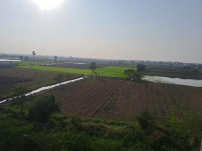Image of 781 Sq.ft 1 BHK Apartment / Flat for rent in Orchid Infinity, Palanpur, Surat for Rs. 13000