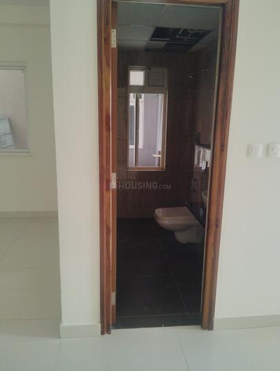 Team4 Nyla Main Image 1