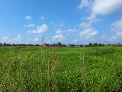 Image of 720 Sq.ft Residential Plot / Land for sale in Nest Valley, Joka, Kolkata for Rs. 182222