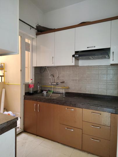 ACE Divino Main Image 1