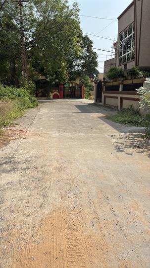 Danish kunj  Main Image 1