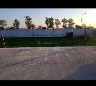 RL Lemon City Plot View 2