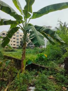 Image of 2160 Sq.ft Residential Plot / Land for sale in Rajarhat, Kolkata for Rs. 7000000