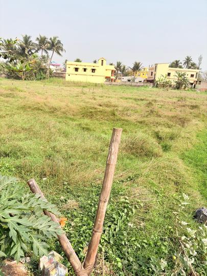 Pahala Main Image 1