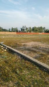 Image of 1800 Sq.ft Residential Plot / Land for sale in Dharmawala, Dehradun for Rs. 3100000