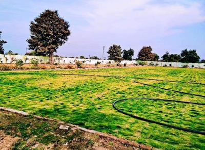 Image of 10000 Sq.ft Residential Plot / Land for sale in Bazargaon, Nagpur for Rs. 3200000
