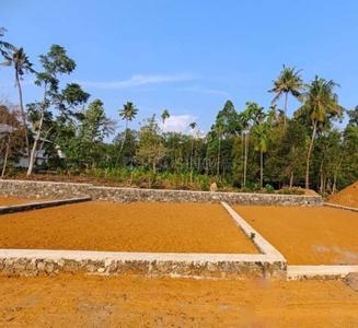 Image of 4810 Sq.ft Residential Plot / Land for sale in Thellakom, Kottayam for Rs. 2900000