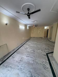 Hall Image of 1800 Sq.ft 3 BHK Builder Floor for rent in Lajpat Nagar New Delhi for Rs. 130000