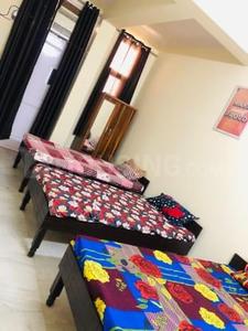 Hall Image of Orchid Paying Guest in Sector 19, Noida