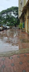 Image of 890 Sq.ft 2 BHK Apartment / Flat for rent in DSS Mahavir Exotica, Kasarvadavali, Thane for Rs. 22999