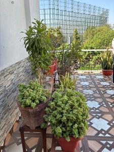 1 BHK Independent House