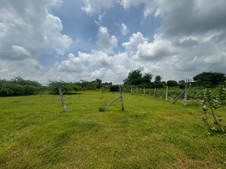 Polepalle Main Image 1