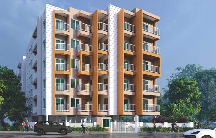 Habulus Oakshine Main Image 1