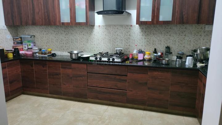 Jasper statements Kitchen 1