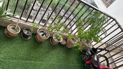 Balcony Image of 1350 Sq.ft 2.5 BHK Apartment / Flat for sale in Panchsheel Greens 2, Noida Extension Greater Noida for Rs. 11000000