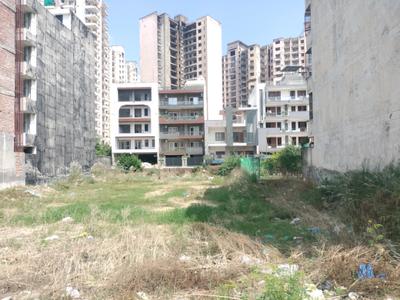 Phase 1 Plot View 2