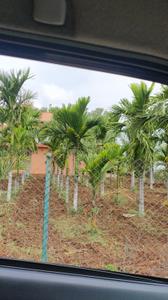 Image of 800 Sq.ft 1 BHK Farm House for sale in Binnipete, Bengaluru for Rs. 16200000