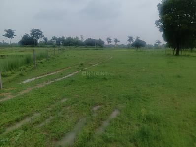 Image of 31725 Sq.ft Residential Plot / Land for sale in Chhataripur, Varanasi for Rs. 16500000