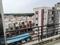Damani Zapa Main Image 1