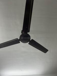 Image of 500 Sq.ft 1 RK Independent House for rent in Alpha II, Greater Noida for Rs. 9000
